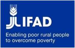 IFAD 